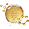 Marine Collagen Peptides
