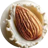 Almond Milk