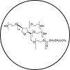 Polysorbate 20